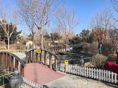 -南宫五洲植物乐园