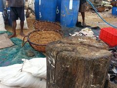 -尼甘布海鲜市场