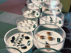 -陕西自然博物馆