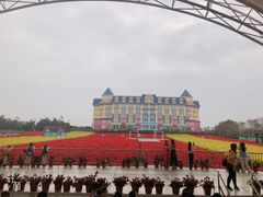-百万葵园