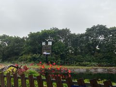 -广州长隆飞鸟乐园