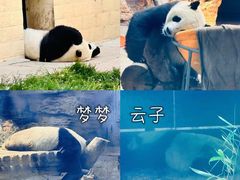 -石家庄市动物园