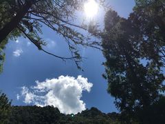 -宁海森林温泉