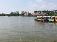 -上海长兴岛郊野公园