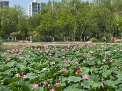 -南翠屏公园