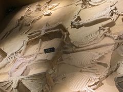 -洛阳周王城天子驾六博物馆