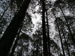 -同里国家湿地公园