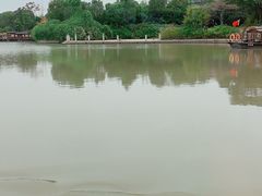 -长兴太湖图影湿地文化园