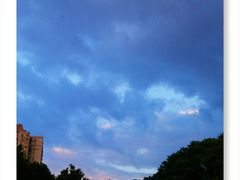 -十九路军淞沪抗日阵亡将士陵园