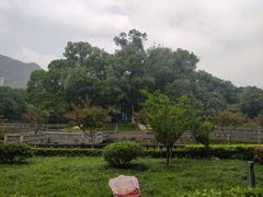 -西南政法大学(沙坪坝校区)