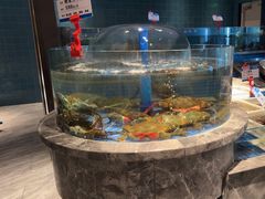 -海立阁海鲜江浙菜(漕河泾印象城店)