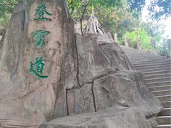 -梧桐山风景名胜区