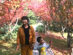 -北极寺公园
