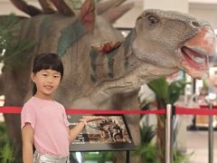 -宁波杉井奥特莱斯广场