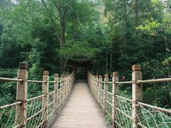 -凤栖山