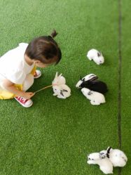 点击看大图 -萌宠亲子动物乐园(槐房万达店)