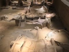 -洛阳周王城天子驾六博物馆