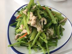 药芹肉丝-迎桂馒头店(博爱路店)