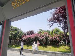 -武昌江滩