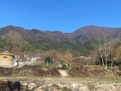-塔川景区