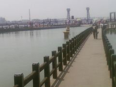 -海河外滩公园
