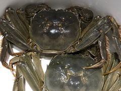 -川骄海鲜自助(河东店)