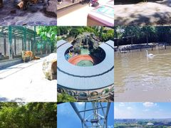 -上海野生动物园