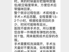 -关爱宠物医院·猫科中心·消化科(滨湖万达分院)