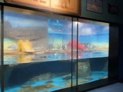 -海合安武汉极地海洋公园