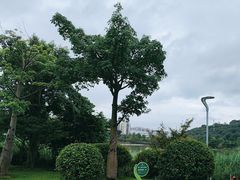 -飞凤山奥体公园