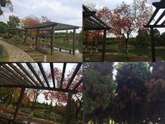 -白塘生态植物园