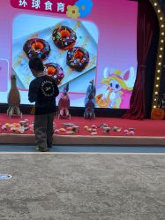 -奈尔宝家庭中心·亲子餐厅(鄞州万达店)