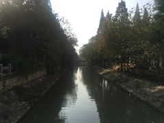 -泗洪洪泽湖湿地景区
