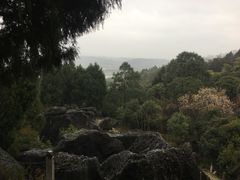 -森林雨(北川旗舰店)