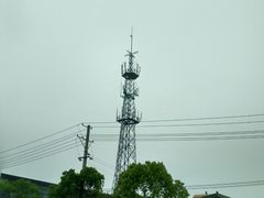 -西贝(金桥店)