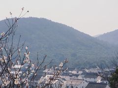 -香雪海