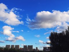 -长春世界雕塑园