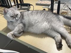 -Oasis绿洲银饰珍珠手作diy(壹方城店)