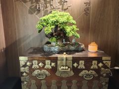 -将军牛排·尔滨地标朝鲜族美食(总店)