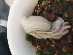 -蚝专家