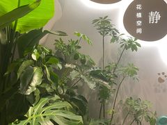 -至艾推拿院·三伏灸(昆城广场店)