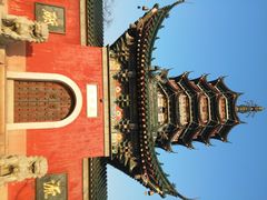 android_upload_pic-焦山风景区