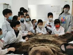 -阿妮亚少儿美术书法(望京店)