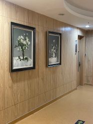 -郑州美中商都妇产医院