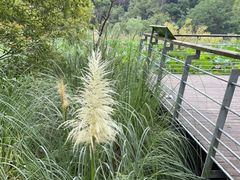 -西湖风景区-江洋畈生态公园