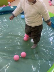 -宝贝王(许昌店)