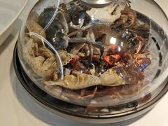 -半岛听涛蒸汽海鲜自助(K11店)
