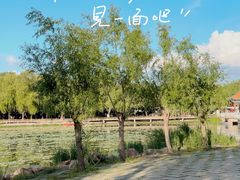 -长春市南湖公园