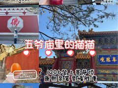 -五台山风景名胜区