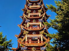 -翠矶山公园
